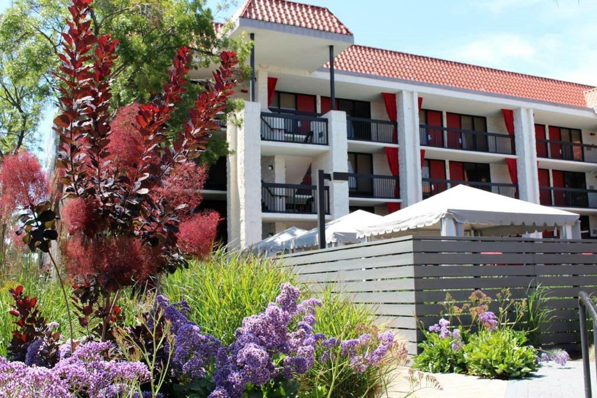 Avatar Hotel, a Joie de Vivre Hotel Santa Clara Extérieur photo