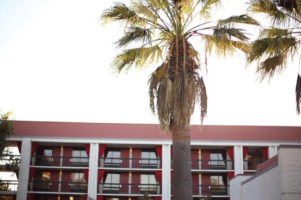 Avatar Hotel, a Joie de Vivre Hotel Santa Clara Extérieur photo